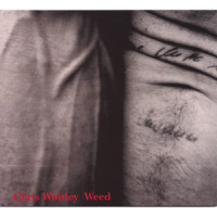 Kick The Stones_Chris Whitley