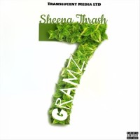 They Don't Know(feat. Elina)_SHEENA THRASH,Elina