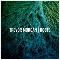 More Beautiful_Trevor Morgan