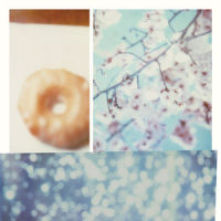 Donut_きのこ帝国