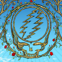 Playin' In The Band_Dead & Company