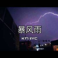 暴风雨REMIX_奉天组,杀手耗,IIYC
