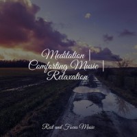 Transcending_Sleep Meditation Dream Catcher,Sleepy Times,Yoga Sounds