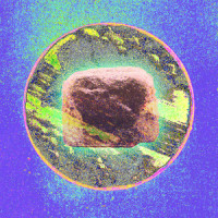 Budg & Snudg_Stick In The Wheel,John Kirkpatrick