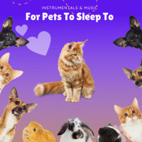 Pet Fun_Pet Music Therapy,Pets Love Music,Piano Peace