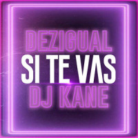 Si Te Vas_Dezigual,DJ Kane