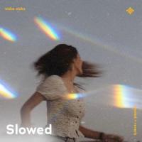 waka waka - slowed + reverb_Slo,Twilight,Tazzy