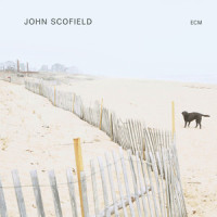 Honest I Do_John Scofield
