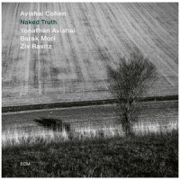 Naked Truth_Avishai Cohen,Yonathan Avishai,Barak Mori,Ziv Ravitz