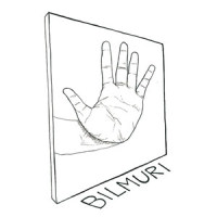 Spark_Bilmuri