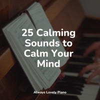 Perseverance_Piano Pianissimo,Chillout Lounge Piano,Study Music & Sounds