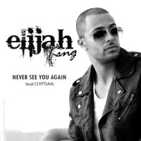 Never See You Again(feat. Gyptian)_Elijah King,Gyptian