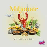 Miljonair_Wat Aans!,Burdy