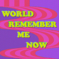 World Remember Me Now_The Go! Team