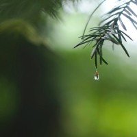 At Peace_Instrumental,Musica Relajante,Deep Sleep