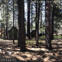 Ghost Like You_Forrest