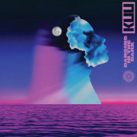 Dancing In The Dark (feat. Shungudzo)_Kuu,Alex Metric,Riton,Shungudzo