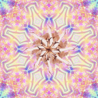 Mantra (Say My Name)_Lo Lind,Kyan Palmer,nicopop.,Paige Blue,Nicolas DiPietrantonio,Emily Haber,Lucas Arens