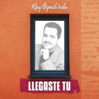 Cuando Vuelvas Conmigo_Ray Sepulveda