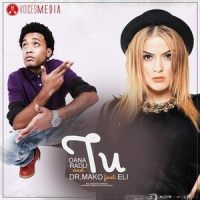 Tu(feat. Eli)_Oana Radu,Dr. Mako,Eli
