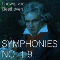 Symphony No. 1 in C Major, Op. 21: IV. Finale. Adagio - Allegro molto e vivace_Wiener Philharmoniker,Wilhelm Furtwängler