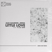 Little Love(feat. Lil' Love)_Alex Gaudino,Jerma,Lil' Love