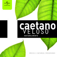 O Ciúme_Caetano Veloso