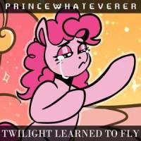 Twilight Learned to Fly(feat. ShadyVox)_PrinceWhateverer,ShadyVox