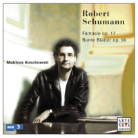 X. Präludium. Energisch_Matthias Kirschnereit,Robert Schumann