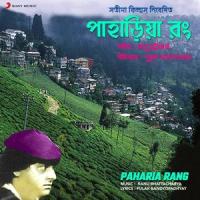 Chai Na Sedin Phire Pete_Kanu Bhattacharya,Shailendra Singh,Anuradha Paudwal