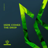 Go Up_Nicky J Van der Lugt Melsert,Homegrown