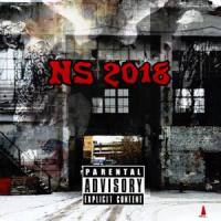 NS 2018 Cypher_TcBreaker,Firewind,zjmm,二队