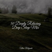 Travelling through Space_Deep Sleep,Bath Spa Relaxing Music Zone,Musica Relaxante