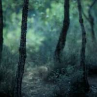 Game of Thrones_Rameses B