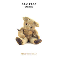 TEDDY BEAR_MKY,SAK PASE