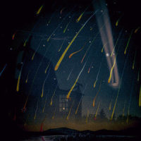 This Breeze_Flora Cash