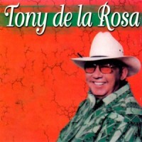 Sabes Para Qué Me Gustas_Tony De La Rosa