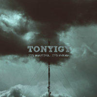 Forest_Tony Igy