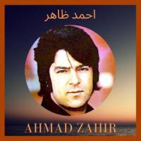 Tu Ba Yak Dasht Pur Az Gul_Ahmad Zahir