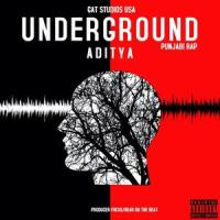 Underground Punjabi Rap_Aditya,Aditya Sirpal,Fokus,Bear On The Beat
