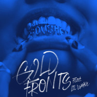 gold fronts_Fousheé,Lil Wayne