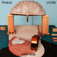 Serotonin_Tom Walker