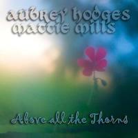 I'm Someone In Your Eyes(feat. Mattie Mills)_Aubrey Hodges,Mattie Mills