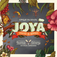 Adventure at Sea_Cirque Du Soleil