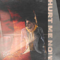 Hurt Me Now_Quinn Lewis