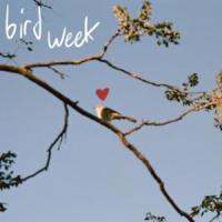 Beaver Lake_Bird Week