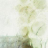 No More_elie,Sidonie