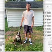 DOG WALK_Ryan Clark