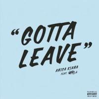 Gotta Leave(feat. Nasty C)_Anica Kiana,Nasty C