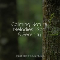 Open Mystery_Preschool Kids,Yoga Workout Music,Deep Sleep